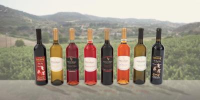 ktima-christoudia-winery