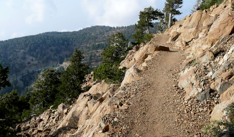 Тропа Артемиды