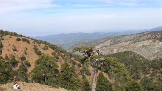 Пешеходные прогулки по тропам Кипра