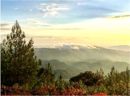 Очаровательный Троодос