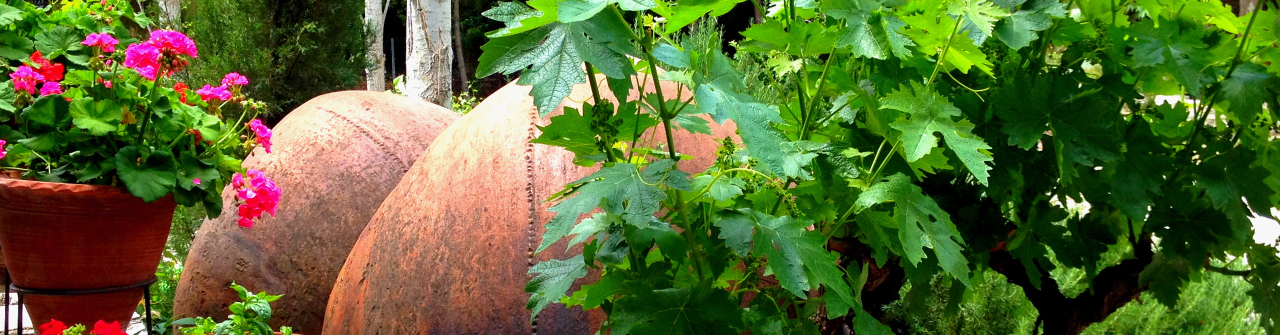 Тур гурмана