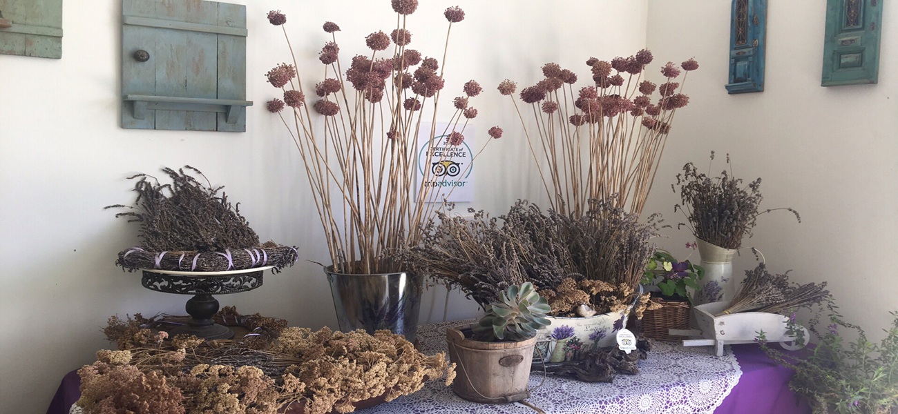 Парк лекарственных трав