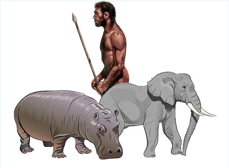 Неолит - каменный век