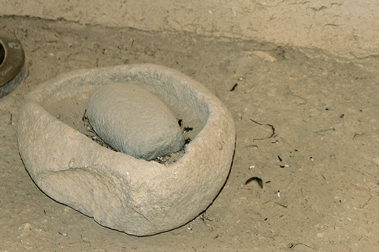 Неолитическая революция