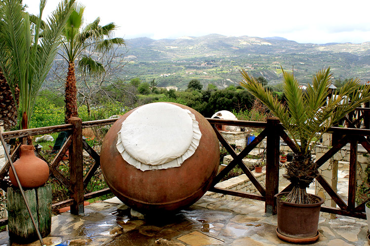 Домашнее хозяйство