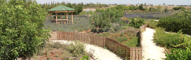 Лучшие парки Кипра