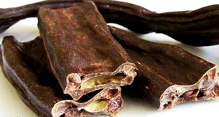 Рожковое дерево