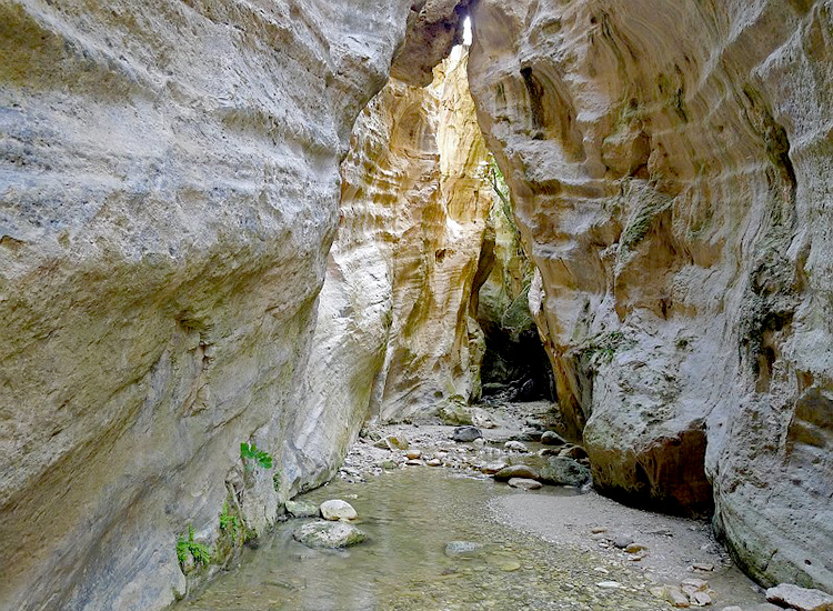 Акамас заповедный